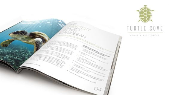 feat_turtlecovemagazine