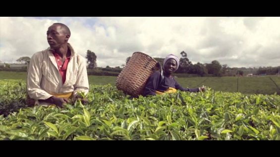 A Great Thing To Have In Common